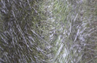 Aberfoyle fibreglass roof work